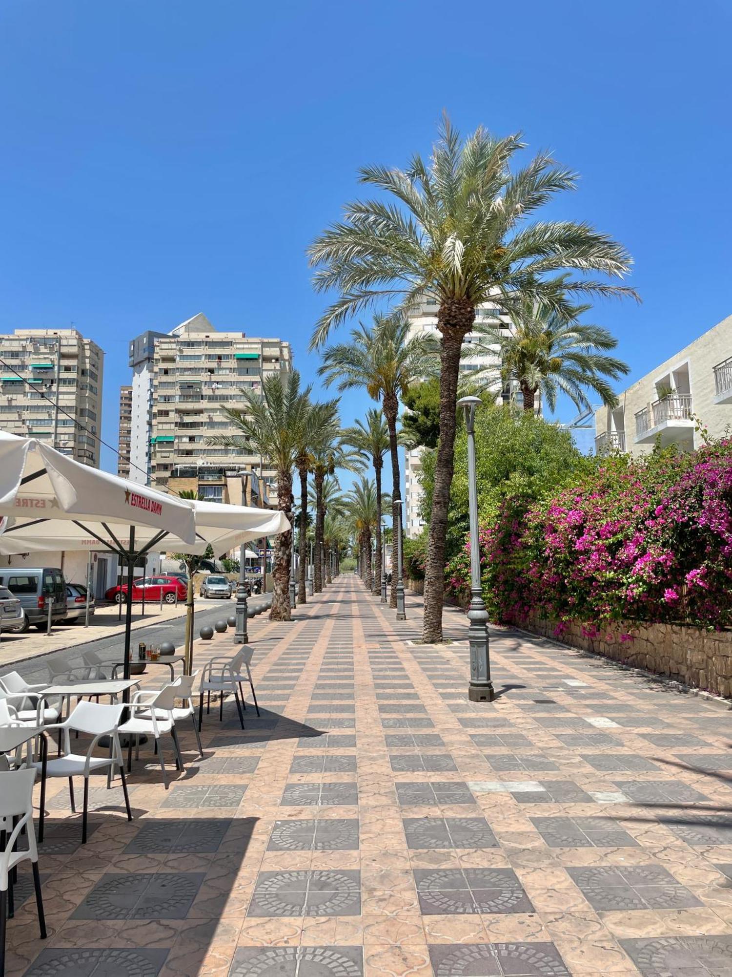 New Square Ibiza Appartement Benidorm Buitenkant foto